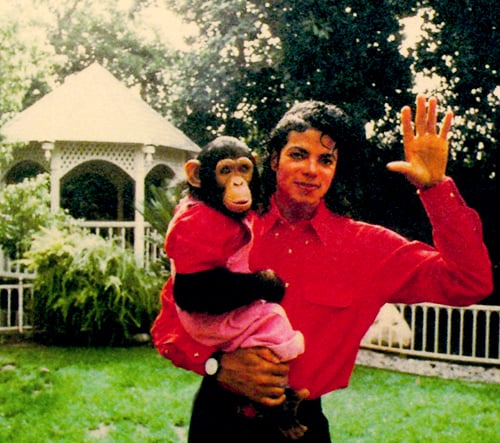 Michael Jackson’s chimpanzee gets his own Netflix show