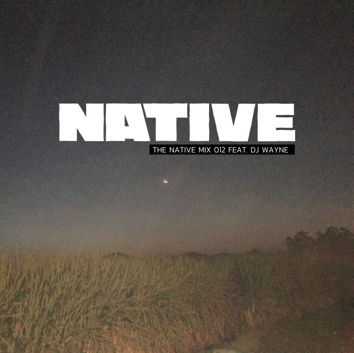The Native Mix 012: Featuring DJ Wayne