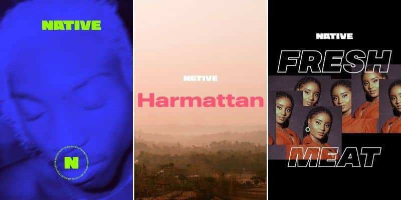 Listen to NATIVE-curated playlists on your favourite streaming services